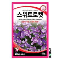 스위트로켓 100립 / 일년생 꽃씨 종자 식용식물