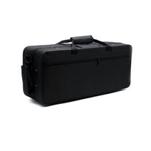 일본 알토 색소폰 A-WO10 1 대 구조 모델 골드 Eb 목관 악기 상자 마우스 피스, 02 Cloth case