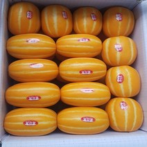 [성주참외] 제철꿀참외(등급 상), 1box, 08. 가정용참외 5kg 대과(부자재포함무게)