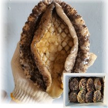 산지직송 국산 통영 자연산 전복 활전복 1kg 해녀가 직접 잡은 대 특대 왕특대 스페셜, 3_2. 왕특대 전복 1kg(5~6미)