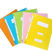 영오 정부화일 A4, 청, 10개