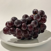 [당일작업] 바른농수산 고당도 거봉 포도 당도선별, 1개, 거봉 1송이 (500g)