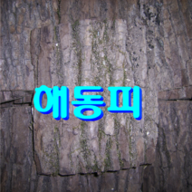 옻나무 엄나무 옻껍질 옻나무효능 해동피 참옻나무 황금옻닭 옻닭 참옻껍질 옻나무껍질 국산옻나무 옻나무티백 옻나무진액 참옻나무껍질 국산참옻나무 황금들녘나라, 1개, 300g