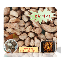 인디언감자(아피오스) 3kg/5kg 생산자 직판, (소) 3kg-27000원
