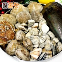 더꿀맛 집에서조개구이 모듬조개 세트 구성, 1개, 나홀로세트 (키조개미포함) 2kg 내외