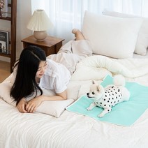 루플리 에코패드 빨아쓰는 배변패드 친환경 강아지 L 1장, 색상:민트