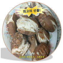 인디언감자(아피오스) 생산자 직판 3/5/10kg, 10kg 89000원, 1개