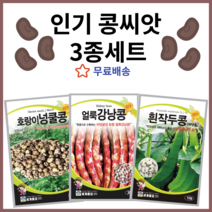 콩씨앗 3종세트 얼룩강낭콩 호랑이콩 작두콩 씨앗 종자 얼룩이강낭콩 씨앗 호랑이 넝쿨콩 작두콩 비넝쿨 콩씨앗