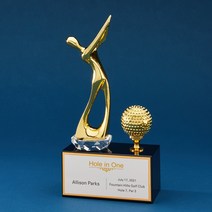 우진아썸 골프트로피 이글패 싱글패 홀인원패 골프대회트로피 케이트로피 풀스윙트로피, 실버