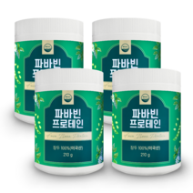 웰리즈 자이언트 파바빈 프로테인 210g 식물성 단백질 파바빈콩 분말 100%, 210g x 4통, 4개