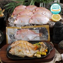 제주 자연산 황돔 36미 총 3.6kg, 없음