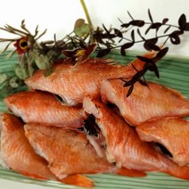 부산 자연산 반건조 두절 홍우럭 매운탕 구이 조림