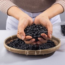 (라미농산)검은콩 잡곡 서리태콩 1kg P/S:9207A7 JH+3419EA : 검정콩 콩물만들기 서리태콩물 잡곡 혼합잡곡 콩가루 서리태효능 쥐눈이콩 검은콩가, jh ; 1, jh ; 본상품선택