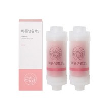 바른생활수 녹물 염소 제거 비타민 샤워필터, 로즈 x 2개