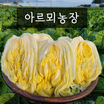 해남 절임배추 20kg 절인배추, (수)출고-(목)도착