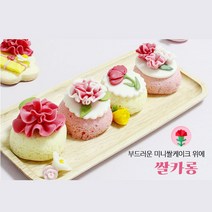 쌀이랑 놀자 감사 떡만들기[대용량 쌀카롱KIT]단체용 어버이날 스승의날 카네이션