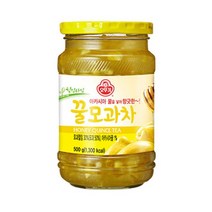 오뚜기 탕비실 꿀모과차 티타임 커피대신 전통차 500G, 19세트