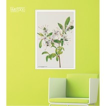 아이엠스톡 인테리어 액자 Sweet Azalea 야생화 064 캔버스액자, 화이트원목