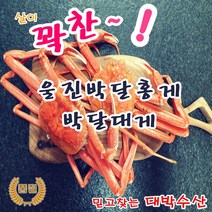 제철 울진 영덕대게 후포 연지 붉은 박달 홍게 대게 직거래 당일 택배 - 자숙 (생물인 경우 주소에 표기), 4. 박달홍게(특대-551~650g))-5미/세트