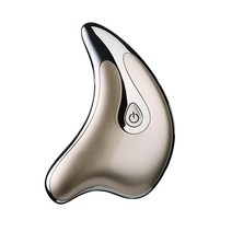 돌고래 괄사 얼굴 마사지기 가정용 리프팅 스트레칭 얼굴 미용기기, 규격 없음, 골드