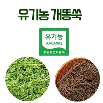 해피스토어70 국내산 말린 유기농 개똥쑥 300g (건조 개똥쑥차), 600g, 1개