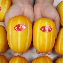 성주참외 꿀참외 햇참외 참외 2kg 4kg 로얄참외 정품참외, 성주 참외 4kg 중대 17-21과