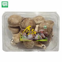 젊은농부 무농약 송화버섯 250g 실속형 국산 송고 송화고 표고 송이 버섯, 1개