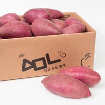 세상모든농부 최상품 꿀고구마 세모농 맛있는 고구마, 세모농 꿀고구마 5kg (특)