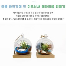 테라리움키트 이오난사 테라리움 만들기 친환경 이끼화분 초등 만들기키트 성인 어르신 치매예방놀이 DIY 취미KIT 미술재료 만들기재료, 2)산호섬, 1개