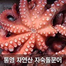 국내산 청정해역 자연산 통영 자숙 돌문어 제수용 문어 1kg 2kg, 자숙 돌문어 900g(제수용한마리)