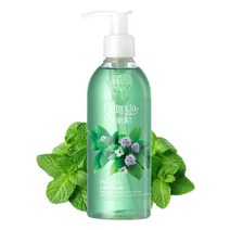 보테가 베르데 민트 핸드워시 시원한 쿨링 손세정제 250ml, 1개(250ml)