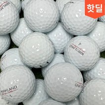 테일러메이드 커클랜드 브리지스톤 세인트나인 다이아윙스 유명브랜드 모음 골프공, 일반브랜드 화이트 A.A- 10알