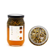 담아요 수제 백향과청(수입산)540g 패션후르츠청 수제과일청 수제청, 1병, 540ml