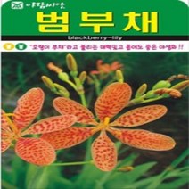 AR 범부채 소포장 씨앗 70립