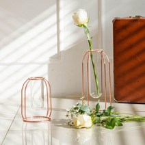 로즈/골드 철제 유리 화병 (6종 숏/롱/더블) 콘솔 디자인 화분 우드 수입, 골드(더블)