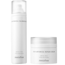 이니스프리 사철쑥 카밍 워터 스킨 120ml + 리페어 크림 50ml 세트, 1개