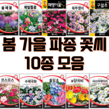 노지 월동 야생화 씨앗 10봉지 1set 모음 봄 가을 파종 꽃씨 매발톱씨앗 코스모스씨앗 물망초씨앗 샤스타데이지씨앗 수레국화씨앗 솔체씨앗 양귀비씨앗, 2set