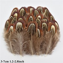 천연 공작 꿩 깃털 작은 닭 거위 플라이 묶는 재료 수공예 액세서리 장식 도매, 01 Size 3-7CM_03 100 Piece