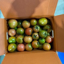 대저토마토 못난이토마토 산지직송, 1박스, 대저토마토 5.0kg 랜덤과