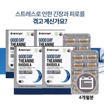 스트레스 긴장 숙면 잠잘오는 피로 개선 지친 하루 에 좋은 테아닌 영양제 홍경천 추출물 마그네슘 함유, 4BOX(4개월분)