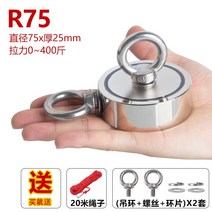 자석 인양기 마그네틱 리프트 리프트 산업용 크레인 철판 500kg 1000kg, R75 x2 최대 800kg