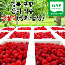 포항 햇 산딸기 냉동산딸기 산지직송 500g 1kg 2kg, 급냉_산딸기_벌크_1kg