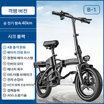 전기 전동 자전거 접이식 48V 2인용 자전거 32km-120km 에너지 회수, B-1