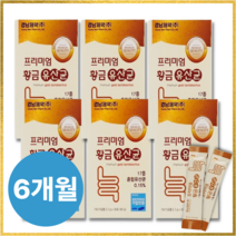 더그린 프리미엄 17종균주 유산균 분말 6개월분 맛있는 6박스, 30포 6박스(6개월분)