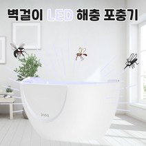 벽걸이포충용램프 벽걸이포충기 벽걸이포집기 벽걸이포충등 모기포집기 모기포충기 모기유인등 벽걸이모기퇴치기