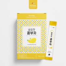 발효 콤부차 분말 가루 주스 BTS 정국 콤부차만들기 레몬 발효 녹차 홍차 효모 유산균 파우더 쥬스 차 연예인 음료 효능 추천