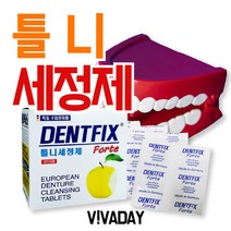 100 가람아빠 / VT 틀니세정제 덴트픽스 32정 틀니세척 틀니세척제 틀니 틀니세정제, 단일 수량