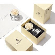젠틀티안 차량용 디퓨저 100ml +고급포장 패키지 방향제, F. 러블리 다우니 +고급박스 패키지
