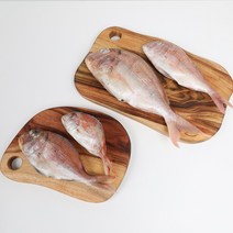 자갈치닷컴 냉동도미 도미, 1개, 20~23cm전후 30마리