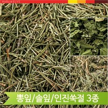 국산 약초 개똥쑥 사철쑥 솔잎 뽕잎 600g 건강차, 사철쑥(12WM)